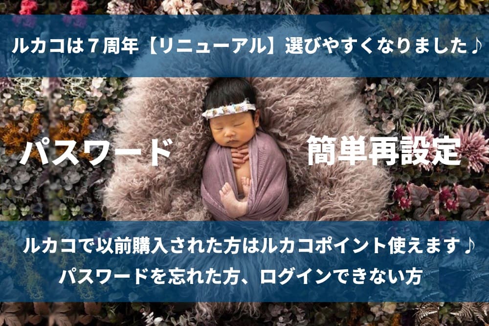 新規会員登録