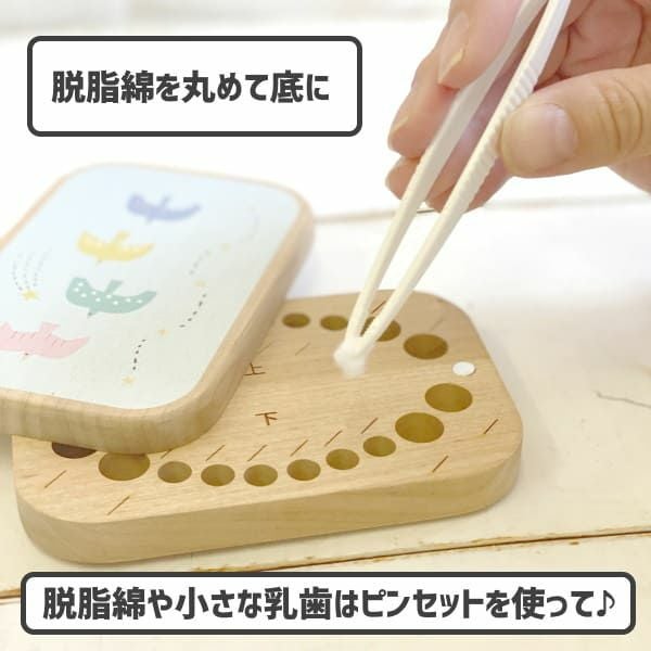 【乳歯ケース】乳歯生え変わりの5歳6歳7歳 乳歯保存(とっておく)おしゃれな木製乳歯ケース日本製 脱脂綿ピンセット付き1000-21-33