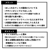 折りたたみベビーベッド(ハイ・ローベッド)出産祝いにおしゃれなコンパクト・ポータブルベビーベッド。リビング用寝かしつけやベッドサイドの添い寝に揺りかご横揺れスイング。ペット(犬・猫)がいるご家族にフードメッシュカバー付きで安心。腰痛の方はオムツ替え台の代用にもbesrey1000-55-02