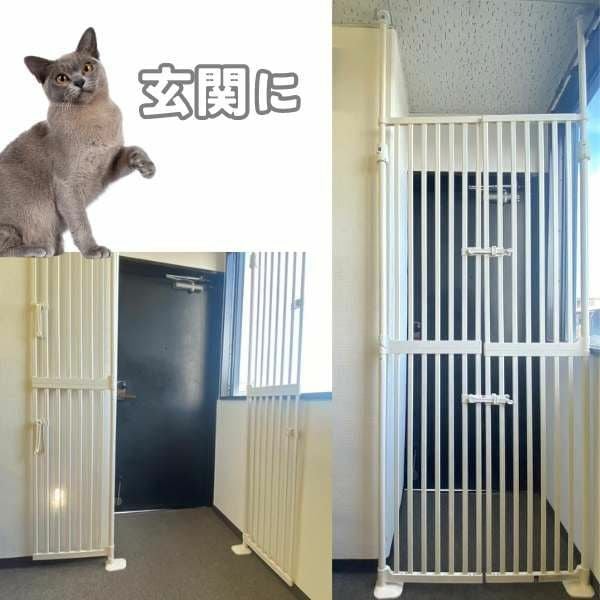 窓　玄関フェンス　柵　猫　犬 楽天市場】玄関 柵（猫用品｜ペット・ペットグッズ）の通販